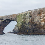 Anacapa Island Arch, Channel Islands National Park