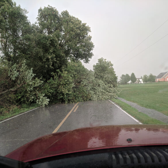 Storm Damage in Republic Missouri