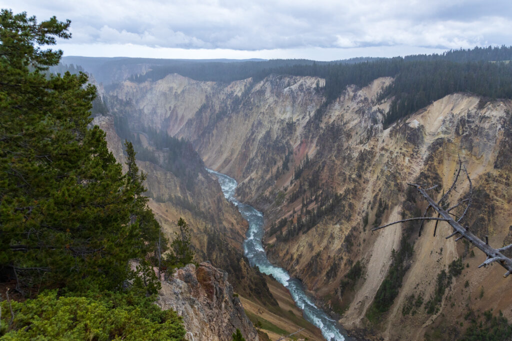 Grand Canyon of Yellowstone