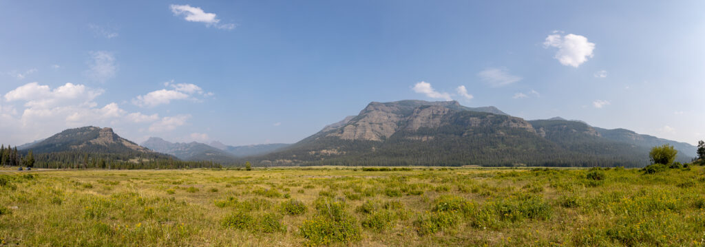 Lamar Valley Pano